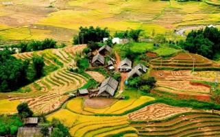 Địa điểm tuyệt vời bạn nên ghé thăm khi đến Sapa