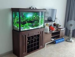 Địa chỉ bán bể cá cảnh đẹp tại Hải Phòng