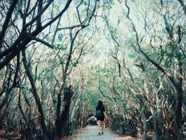 Địa điểm  chụp ảnh đẹp ở Huế dành cho các tín đồ mê sống ảo
