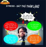 Nguyên nhân khiến chúng ta bị stress trong công việc