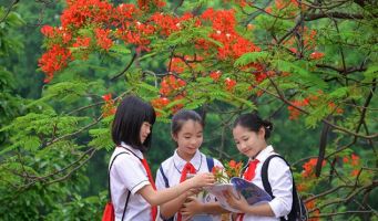 Bài thơ hay viết về những ngày đầu hạ
