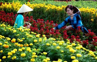 Công việc hot nhất cho sinh viên và dân văn phòng trước dịp tết 2023