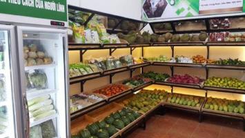 Cửa hàng thực phẩm sạch uy tín nhất Bình Dương