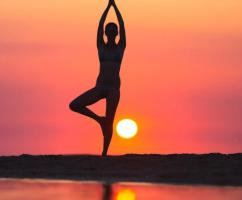 Cuốn sách hay nhất về yoga