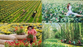 Địa điểm tham quan du lịch nổi tiếng tại Đồng Tháp
