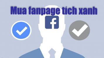 Dịch vụ cho thuê Fanpage Tích Xanh uy tín nhất hiện nay