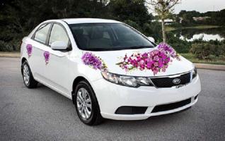 Dịch vụ cho thuê xe hoa đám cưới uy tín, chất lượng nhất tỉnh Hà Tĩnh