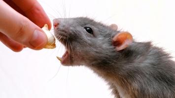 Điều thú vị nhất trong thế giới  tự nhiên