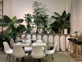 Quán cà phê, trà sữa view đẹp đường Xô Viết Nghệ Tĩnh, Cần Thơ