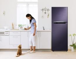 Thương hiệu tủ lạnh tốt nhất hiện nay