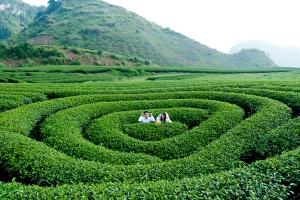 Cách giúp bạn luôn cảm thấy hạnh phúc