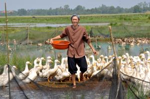 Nghệ sĩ nổi tiếng quê Quảng Nam