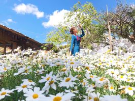 Homestay hoa được yêu thích nhất tại Đà Lạt