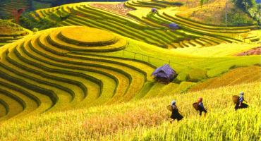 Homestay view ruộng bậc thang đẹp nhất mùa lễ hội ở Sapa, Lào Cai