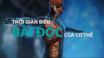 Khung giờ thải độc cho cơ thể