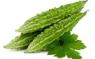 Cách trị mụn bằng Khổ qua (mướp đắng) nhanh chóng, hiệu quả ngay tại nhà