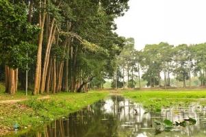Lễ hội truyền thống nổi tiếng nhất ở Trà Vinh