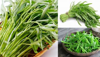 Lợi ích của rau muống đối với sức khỏe mà bạn nên biết