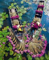 Bài thơ viết về Long An hay nhất