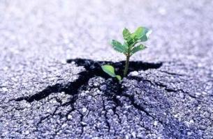 Lớp học miễn phí hữu ích mà bạn nên biết