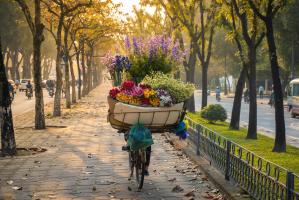 Lý do để yêu mùa thu Hà Nội