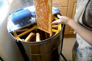 Địa chỉ bán mật ong nguyên chất tốt nhất tại TP.HCM