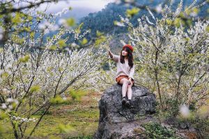 Địa điểm thu hút du khách vào dịp cuối năm nhất Việt Nam