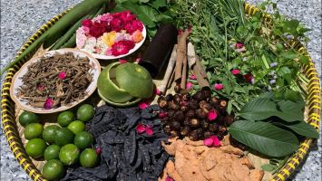 Cách nấu dầu gội thảo dược cô đặc đơn giản nhất