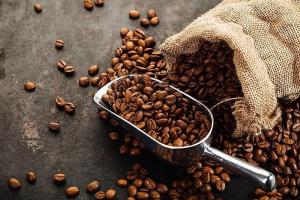 Nhà cung cấp cà phê giá sỉ chất lượng nhất
