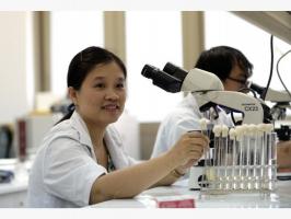 Nhà khoa học nữ Việt Nam nổi tiếng nhất trên thế giới