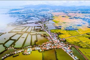 Nhà xe uy tín nhất tuyến Sài Gòn - Bình Định