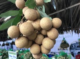 Địa chỉ bán đặc sản Hưng Yên làm quà uy tín nhất