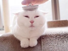 Điều thú vị nhất chỉ có ở người lười biếng.