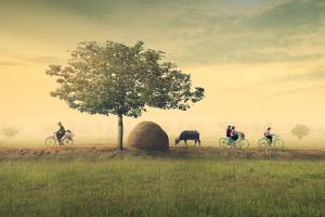 Bài thơ hay nhất của nhà thơ Nguyễn Đình Huân