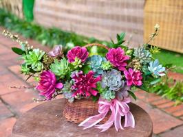 Shop bán giỏ hoa sen đá đẹp nhất tại Hà Nội