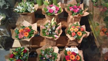 Shop hoa tươi tốt nhất Hải Phòng