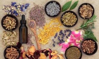 Spa trị mụn bằng phương pháp Đông Y uy tín và chất lượng nhất Hà Nội