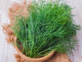 Tác dụng tuyệt vời của rau thì là có thể bạn chưa biết