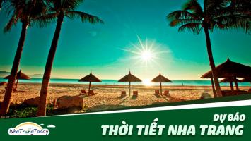 Từ khoá được tìm kiếm nhiều nhất trên trang google năm 2019