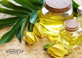 Loại tinh dầu thiên nhiên xông thơm phòng ngủ ngon, đuổi muỗi và giảm căng thẳng