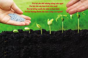 Công ty phân bón lớn và chất lượng nhất tại Buôn Ma Thuột