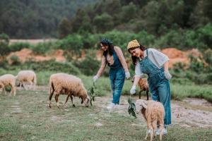 Điểm du lịch hấp dẫn nhất tại  huyện Yên Thành, tỉnh Nghệ An
