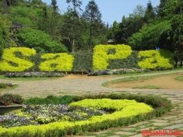 Trải nghiệm thú vị nhất không nên bỏ qua khi tới Sapa