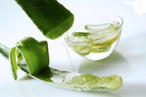 Bí quyết  làm đẹp hiệu quả nhất cùng nha đam