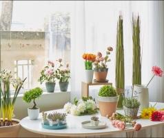 Shop bán phụ kiện trang trí đẹp độc nhất Hà Nội