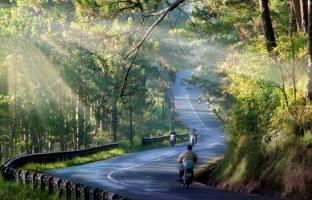Ứng dụng du lịch cần thiết nhất cho du khách