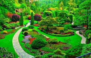 Thành phố đáng sống nhất thế giới
