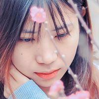 Bí Đỏ
