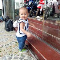 Thu Hải Đường