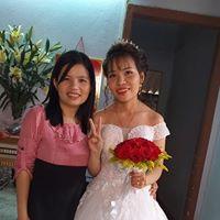 Sao Bắc Đẩu